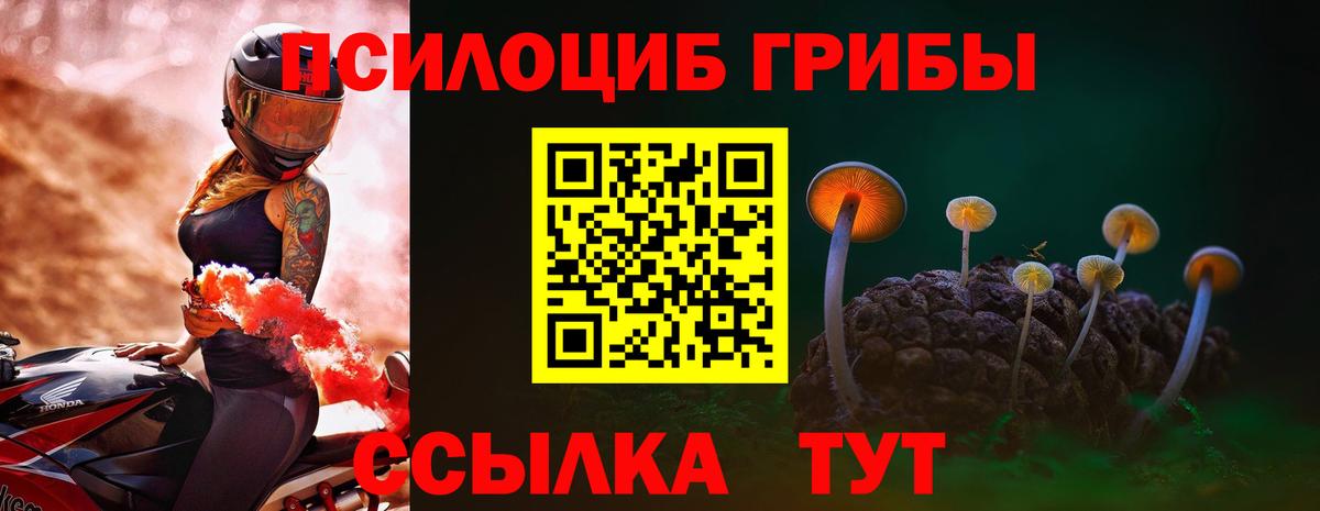 Галлюциногенные грибы Magic Shrooms Якутск