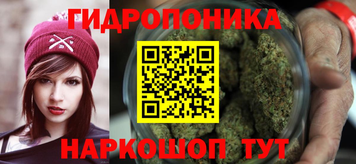 Бошки Шишки марихуана Якутск